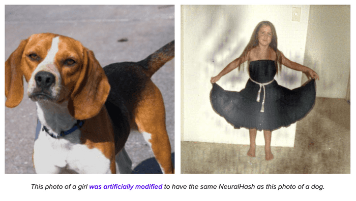 "This photo of a girl was artificially modified to have the same NeuralHash as this photo of a dog (Source: blog.roboflow.com/nerualhash-collision/)"